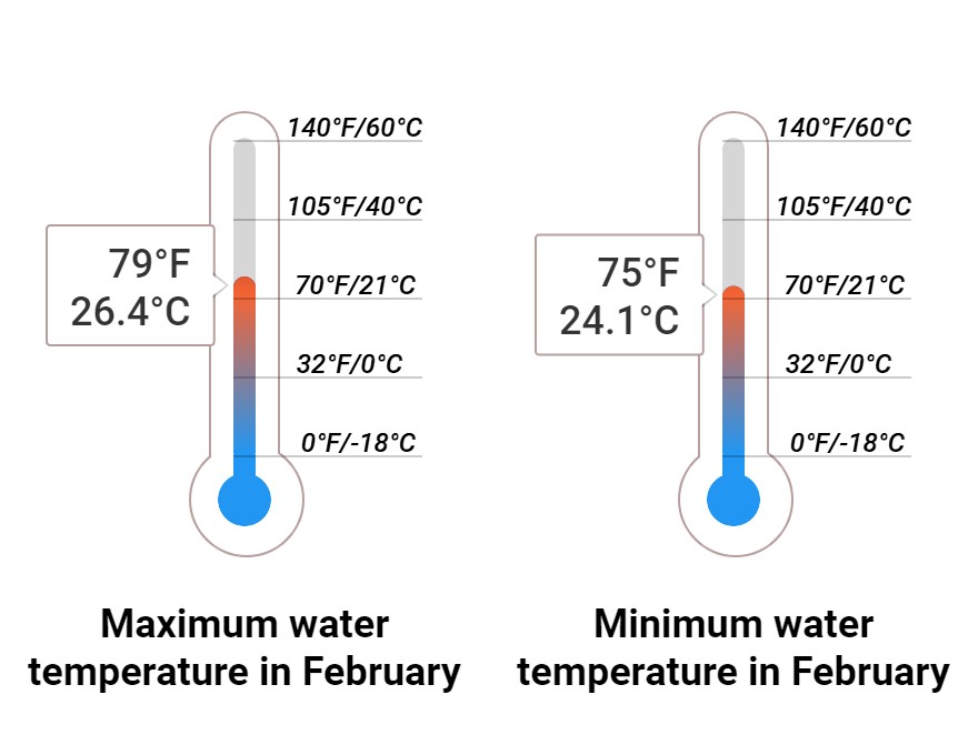 What to do in February in Cancun, Mexico 2025 Winter Sun Expert